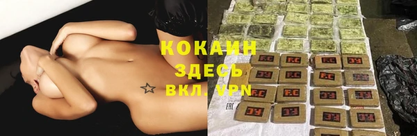 твердый Алексеевка
