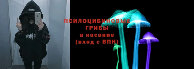 твердый Алексеевка