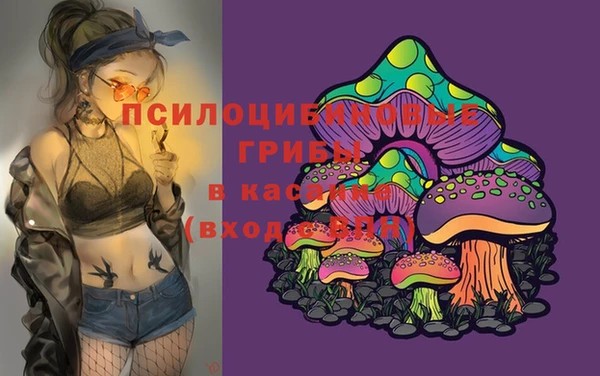 ALPHA-PVP Алексин